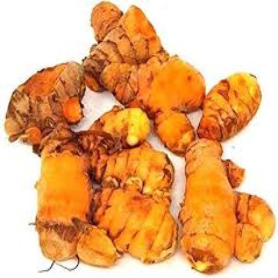 Wholesale Chinese Yellow Ginger Dubai, UAE
